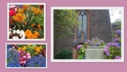 22nd Aug 2015 - St. Charles Church and floral beauty.