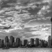 Toronto's Waterfront by pdulis