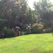 English Garden.  by chimfa