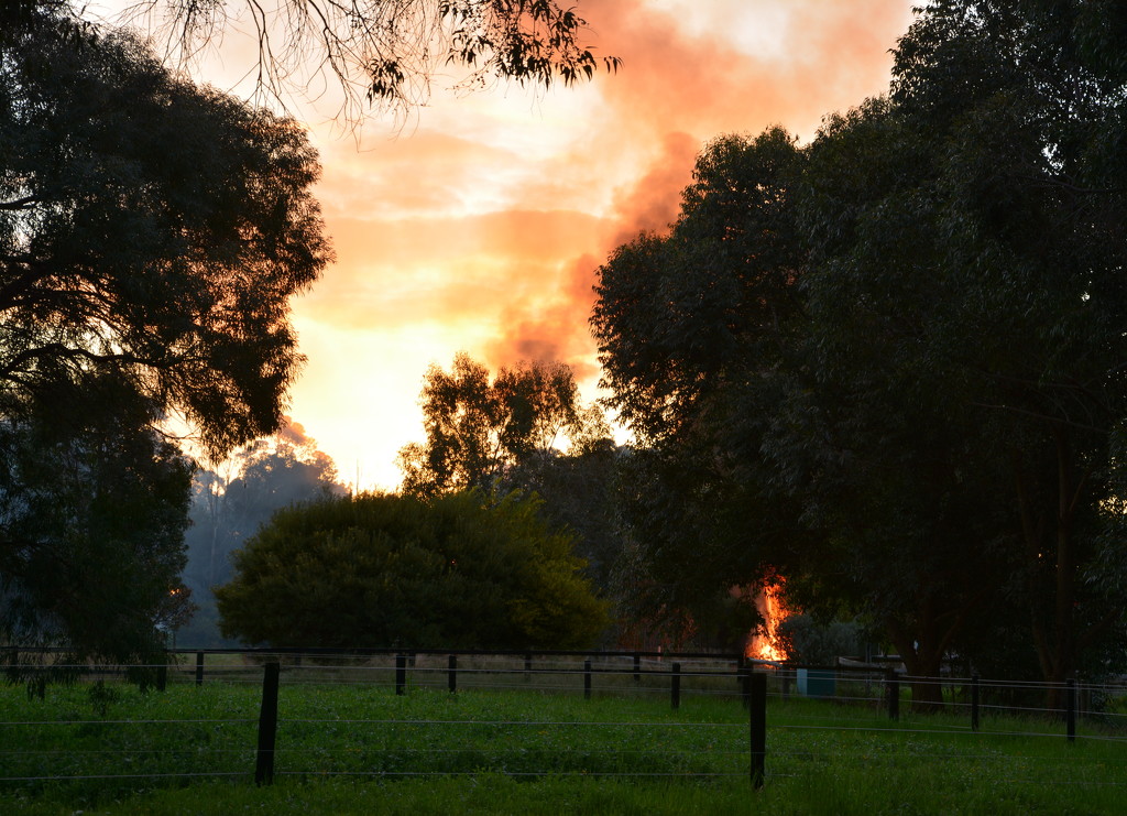 A Bonfire at Sunset DSC_8090 by merrelyn