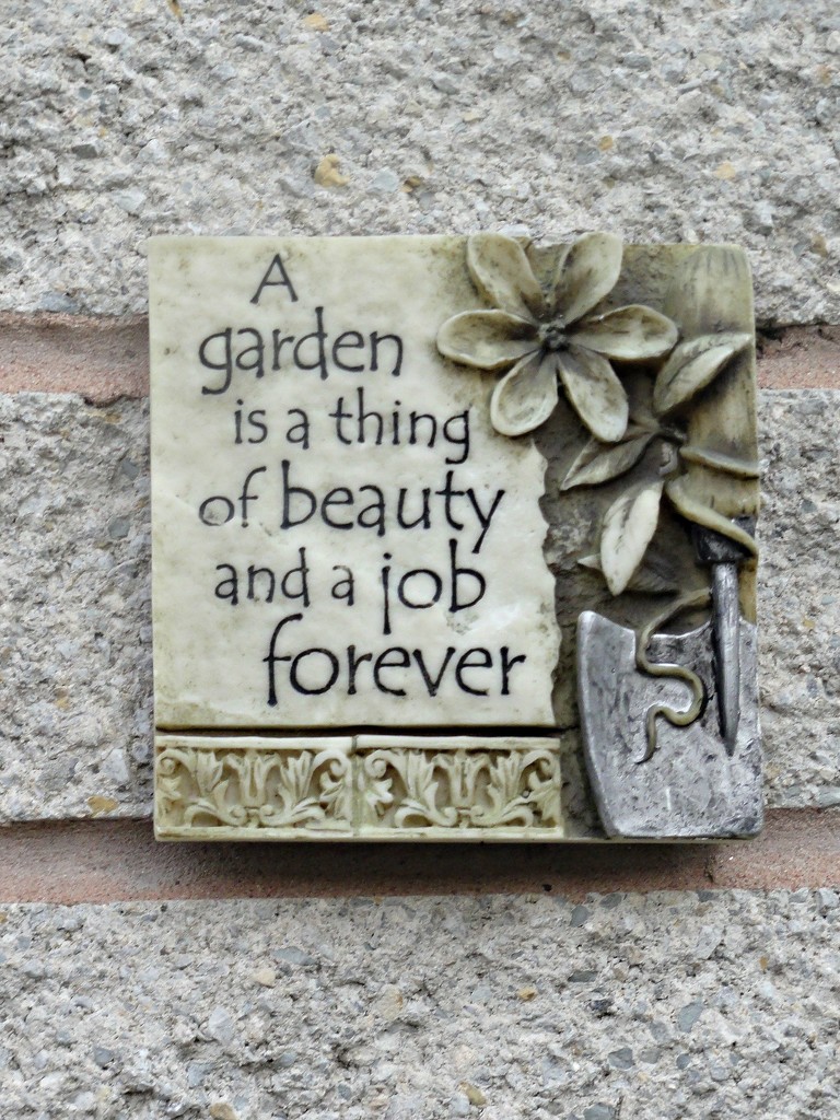 A little plaque on my garden wall   by beryl