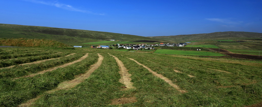 Silage Cut by lifeat60degrees