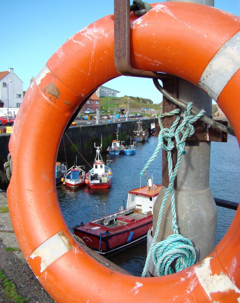 Holiday Day One: Dunbar Harbour by bulldog