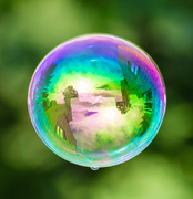 24th Aug 2015 - 24th August 2015     - Bubble