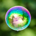 24th August 2015     - Bubble by pamknowler
