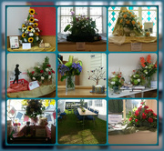 24th Aug 2015 - flower festival collage