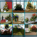 flower festival collage by sarah19