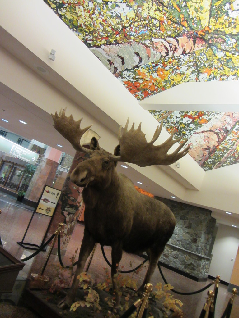Anchorage, AK  Airport by mlwd