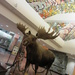 Anchorage, AK  Airport by mlwd