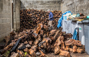 24th Aug 2015 - A Year of Days: Day 236 - Wet Wood Delivery Day!