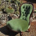 Chair in the garden by kerenmcsweeney