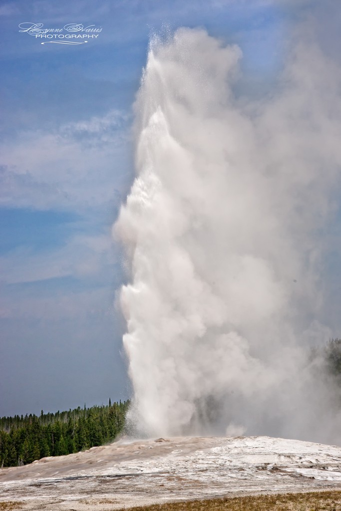 Old Faithful, Yellowstone NP by lynne5477