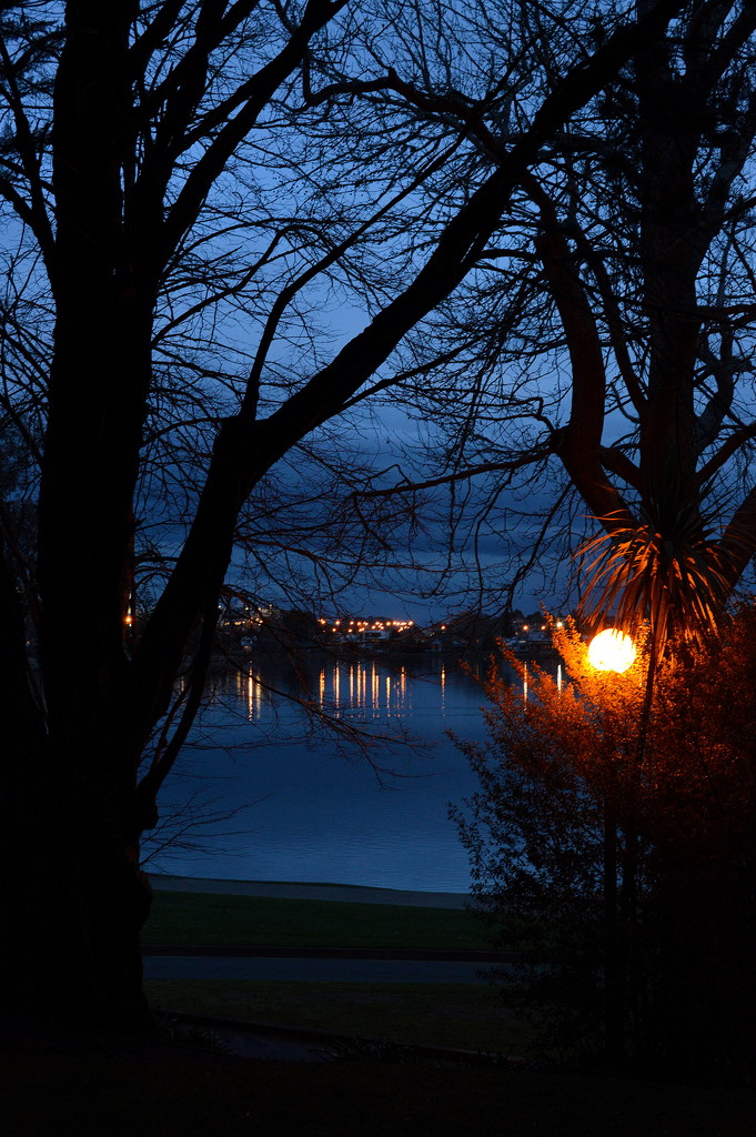 Evening Light by nickspicsnz