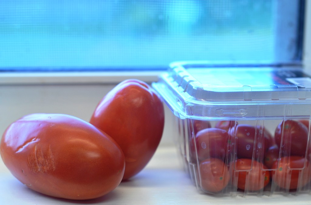 tomatoes by kathyrose