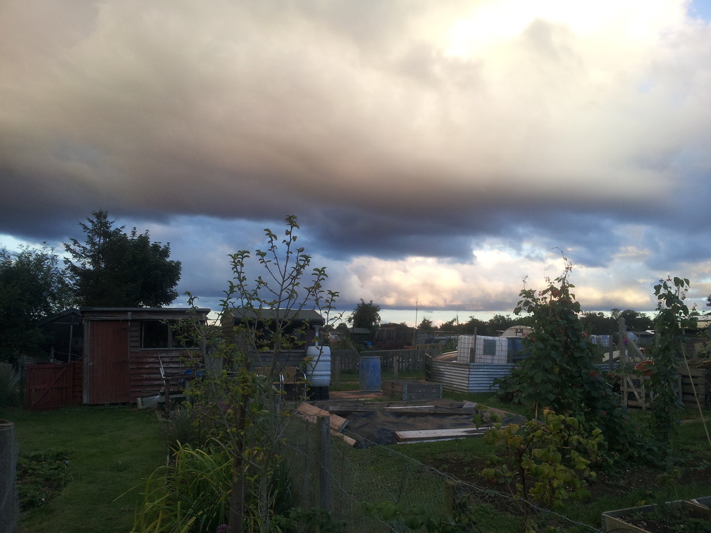 Storm brewwing over the allotment by busylady