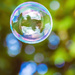 25th August 2015     -Bubble and bokeh by pamknowler