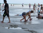 15th Aug 2015 - Horse race on the beach