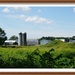 Virginia Farm by allie912