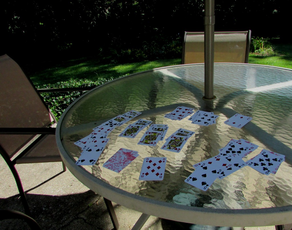 Solitaire on the Patio by tunia