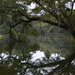 Reflections in the lake, Charles Towne Landing State Historic Site, Charleston, SC by congaree