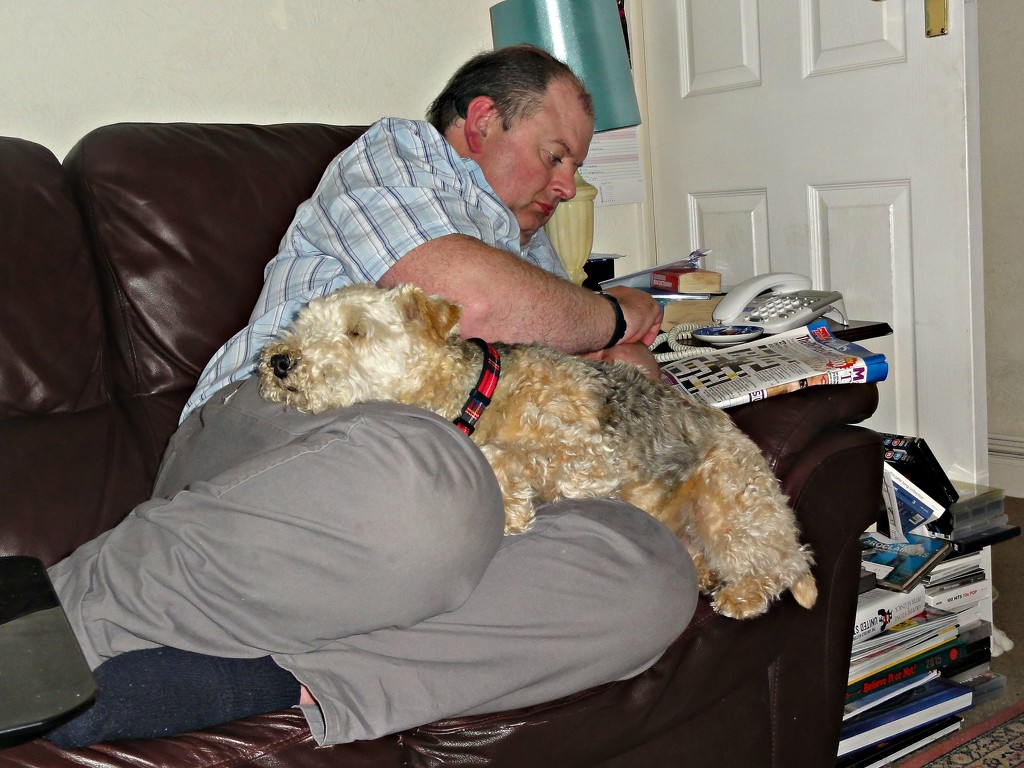 Crosswords and snoozes !! by beryl