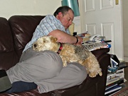 26th Aug 2015 - Crosswords and snoozes !!
