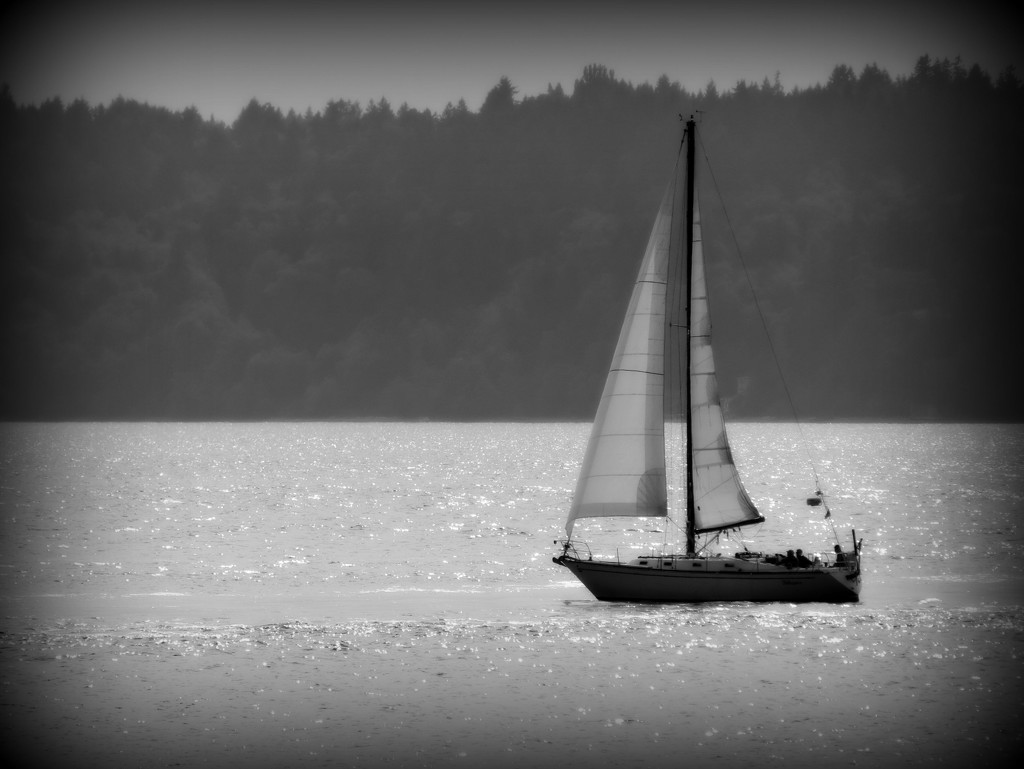 Afternoon Sailing by seattlite