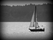 26th Aug 2015 - Afternoon Sailing