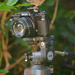 Baby Robin on a Ricoh SLR by richardcreese