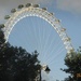 London Eye from the Coach by foxes37