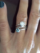 26th Aug 2015 - 0826ring