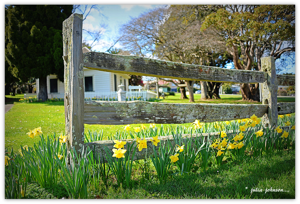 Pioneer Cottage and Daff's by julzmaioro