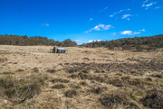 27th Aug 2015 - Brayshaws Hut