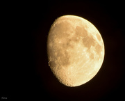 26th Aug 2015 - The Moon