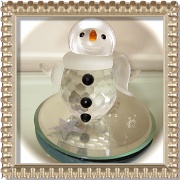 18th Nov 2010 - This Snowman Won't Melt