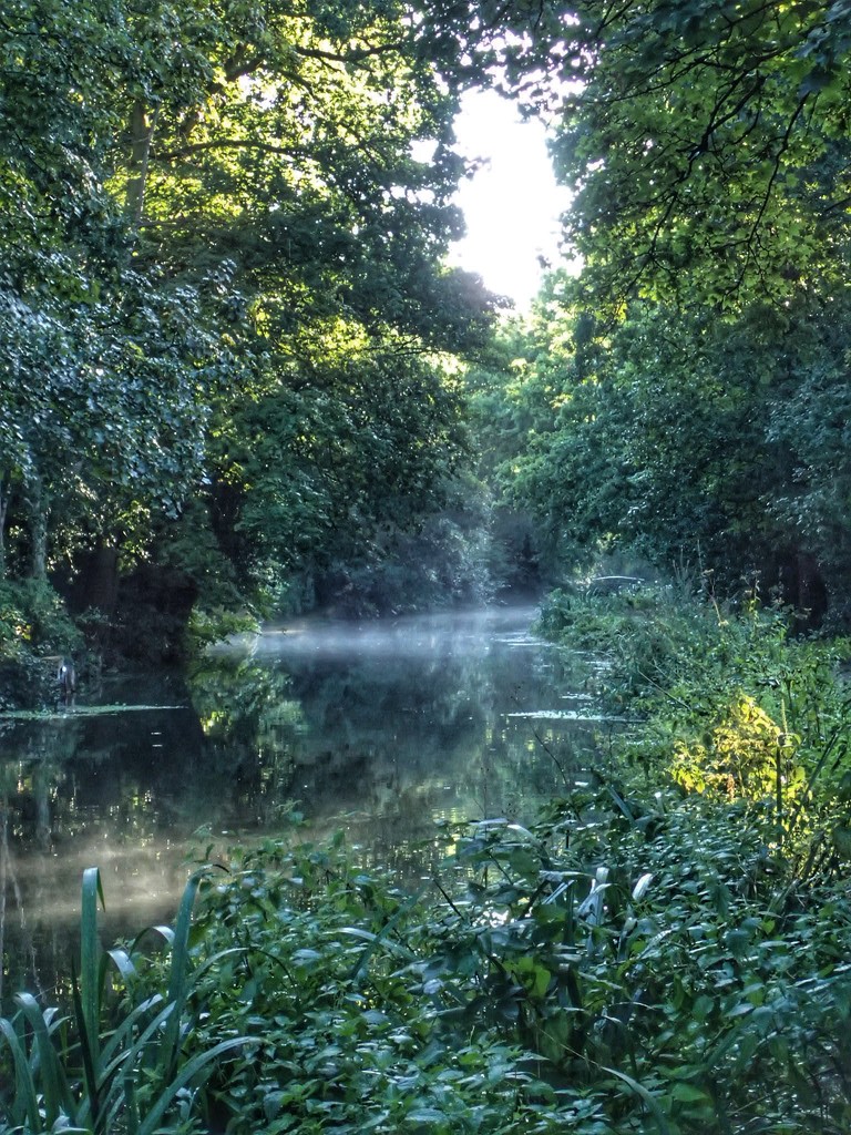 Canal mist by mattjcuk