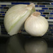 Humongous Onion by ingrid01
