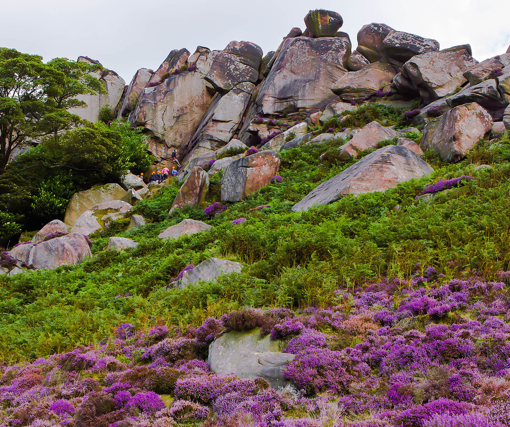 28th August 2015     - The Roaches -1 by pamknowler