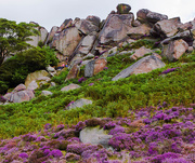 28th Aug 2015 - 28th August 2015     - The Roaches -1
