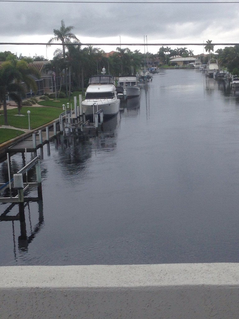 Canal in Punta Gorda Florida  by prn
