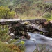 Stone Bridge by shepherdmanswife