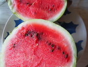9th Aug 2015 - watermelon