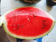 25th Aug 2015 - watermelon