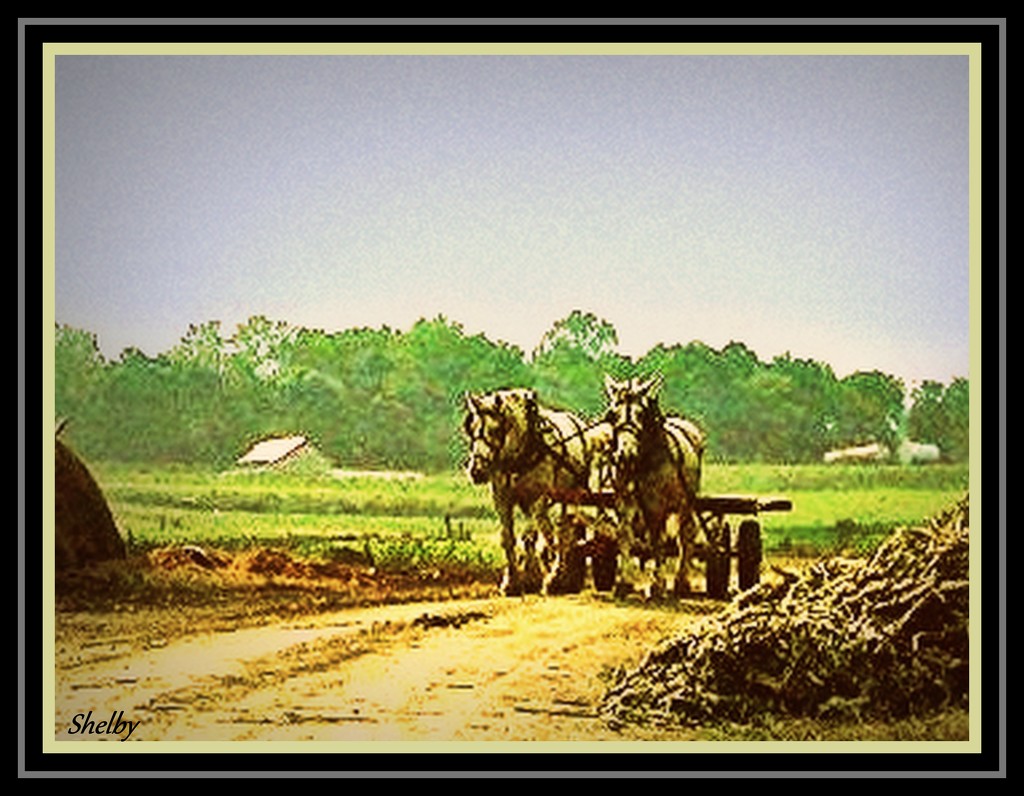 Another Day In Amish Country by vernabeth