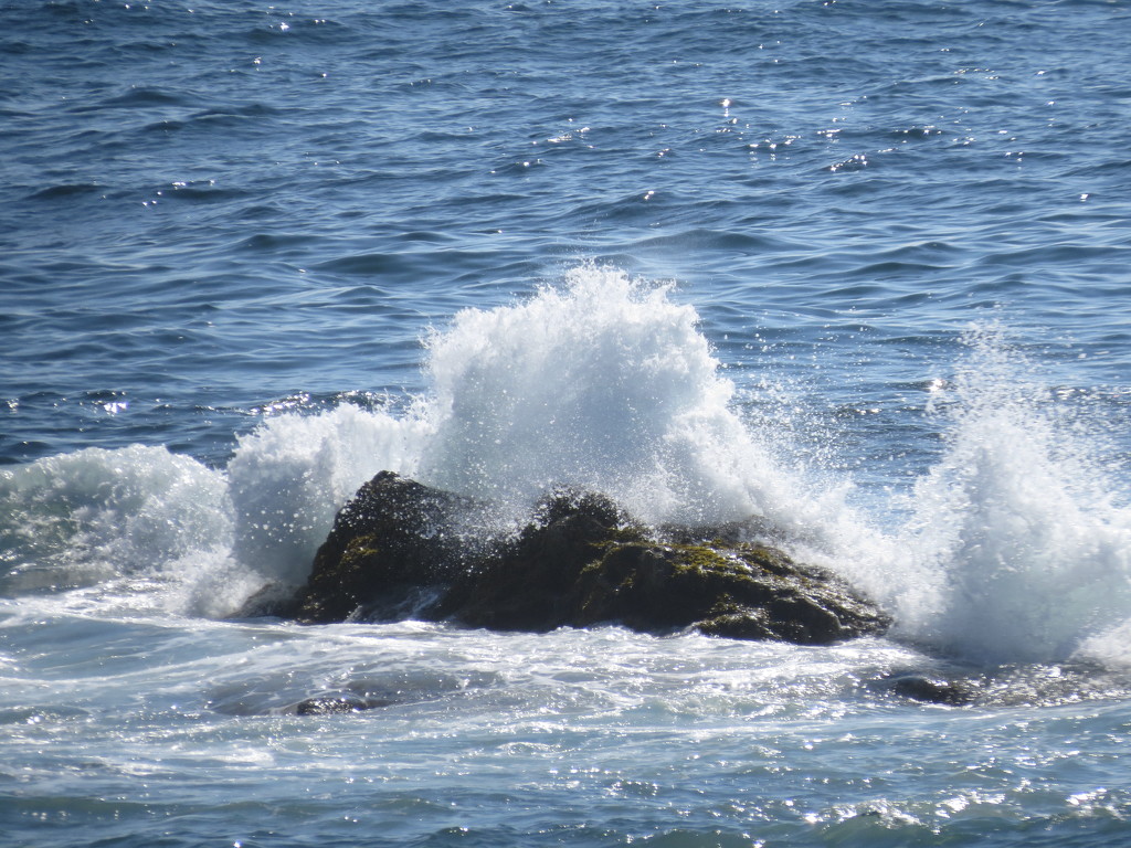 Waves at Acadia by rob257