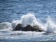 26th Aug 2015 - Waves at Acadia