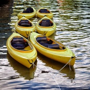 29th Aug 2015 - Canoes