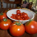 Tomatoes by julie
