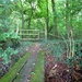 Footpath into Breech Wood by julienne1