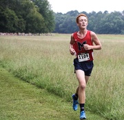 29th Aug 2015 - Cross Country